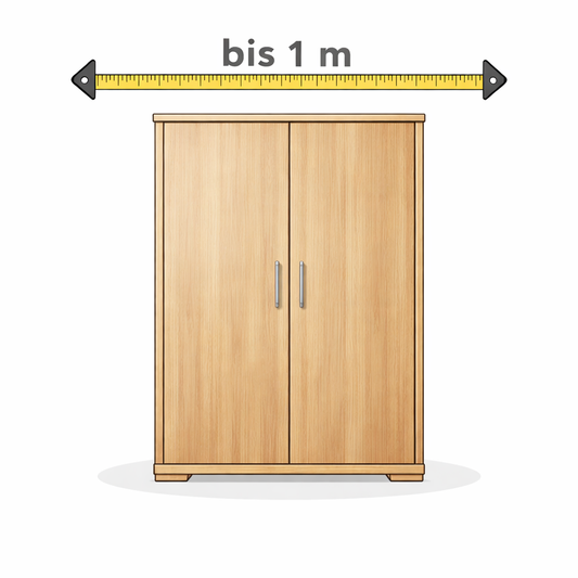 Kleiderschrank Element bis 1 Meter – mit Spiegel möglich bei Kombination bis 2 Meter Abholung in Zürich online buchen